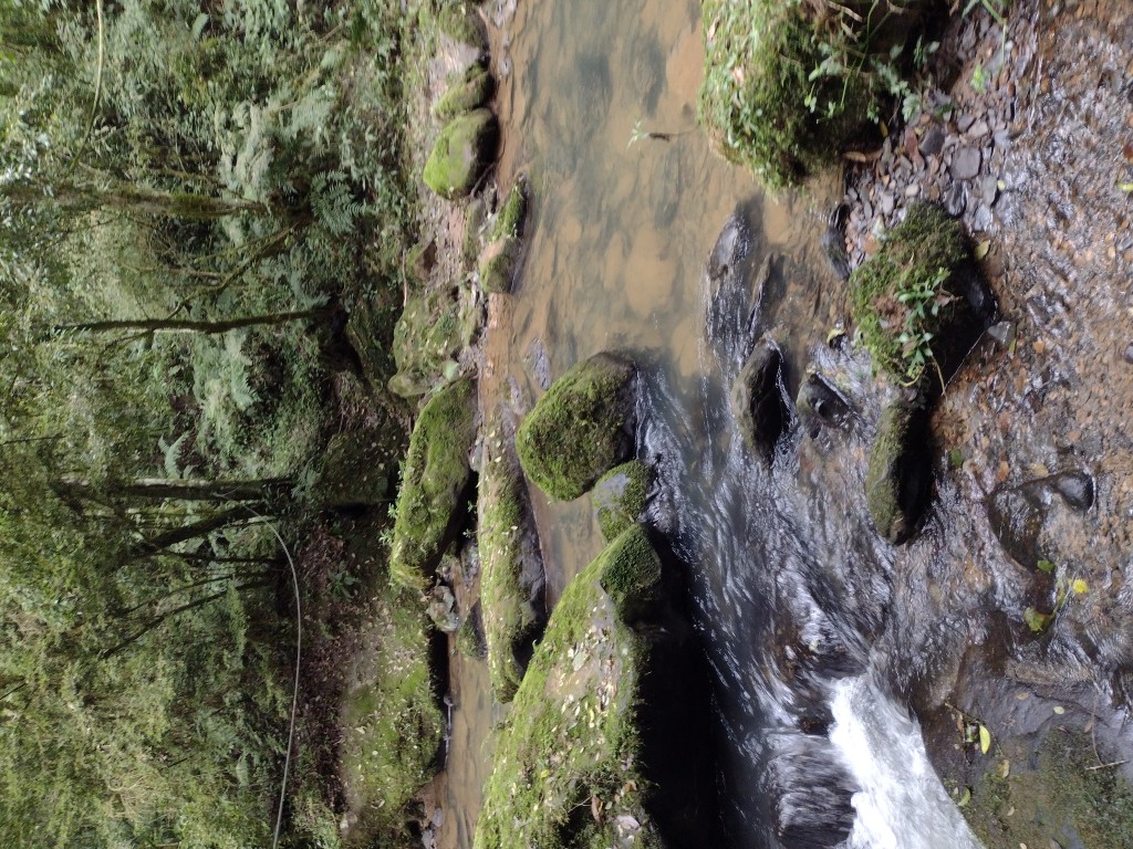 IMG_20220806_101645646