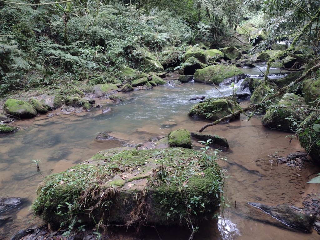 IMG_20220806_101648695