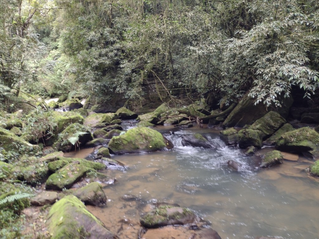 IMG_20220806_101751872