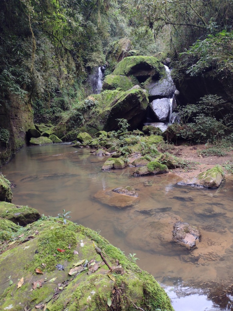 IMG_20220806_102208115