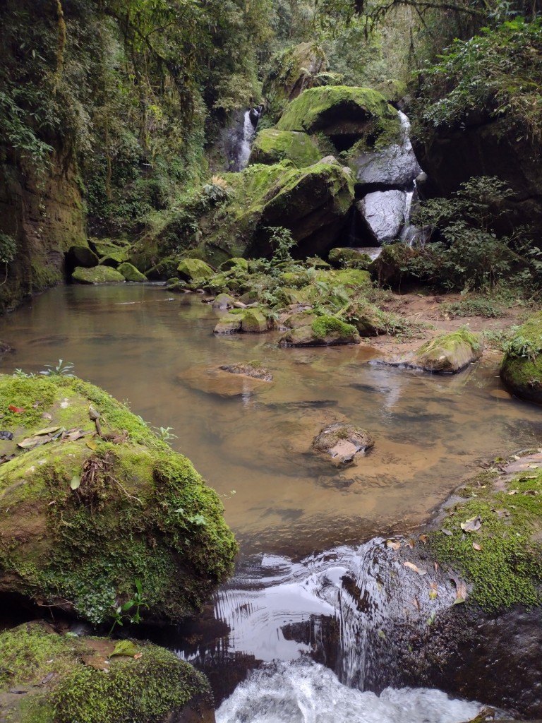 IMG_20220806_102211934