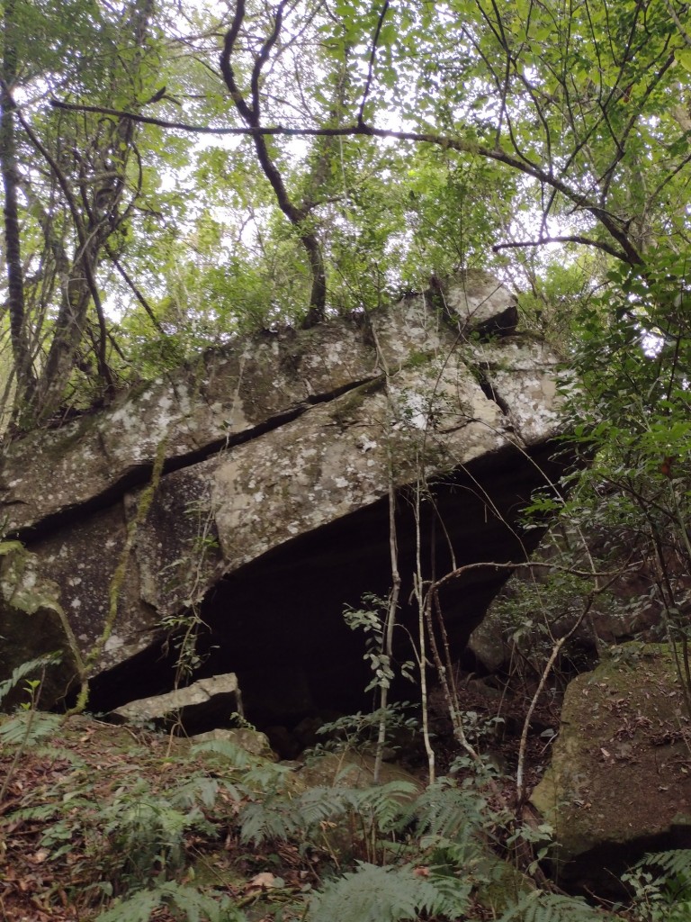 IMG_20220806_110100579