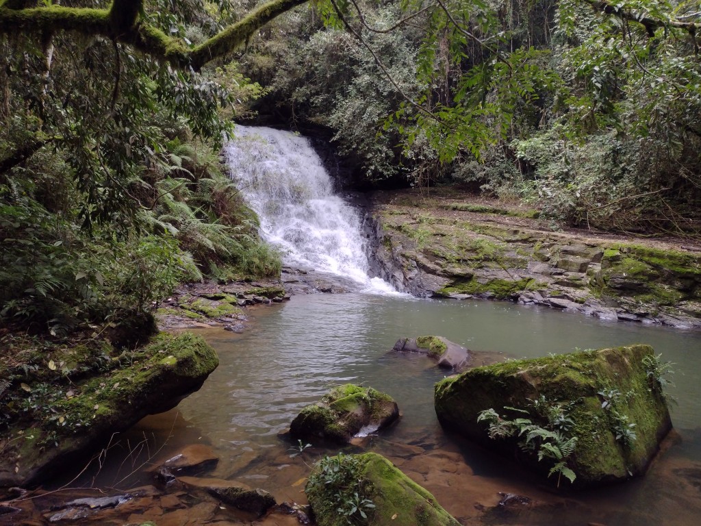 IMG_20220806_110419550