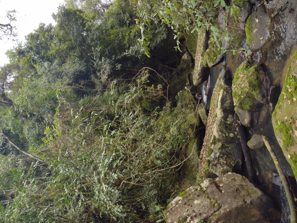 IMG_20220806_110545980