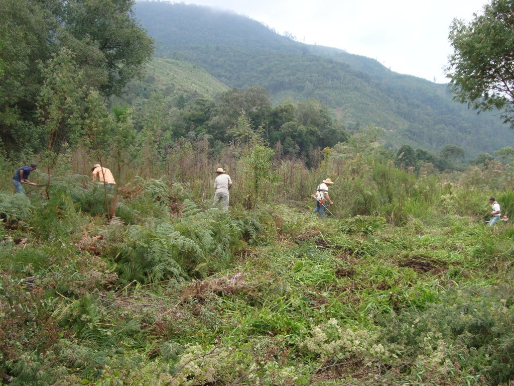 15 - limpeza da área - setembro de 2009 (2)