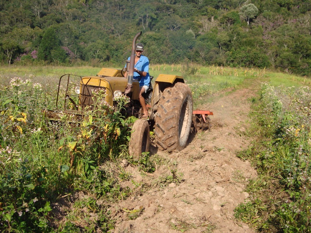 15 - limpeza da área - setembro de 2009 (3)