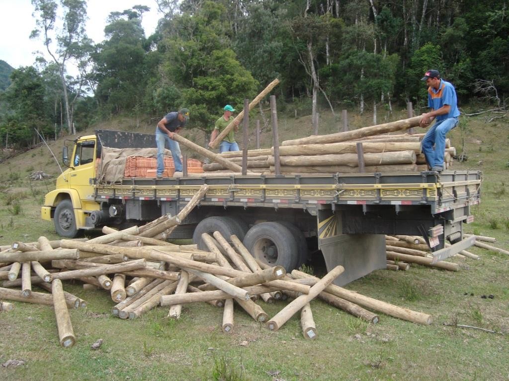 21 - Descarregando palanques - Abril de 2009