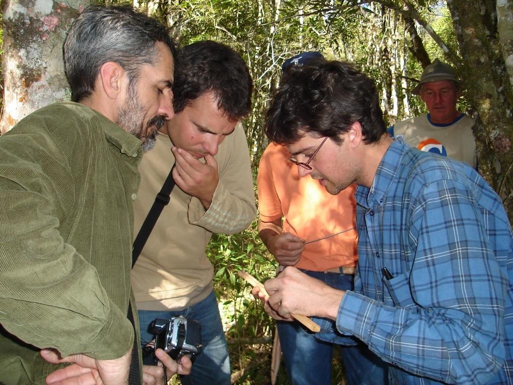 6 - Fazendo cáculos de carbôno - Abril de 2007 (3)
