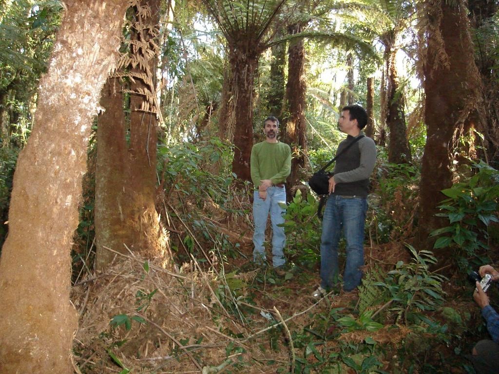 6 - Fazendo cáculos de carbôno - Abril de 2007 (4)