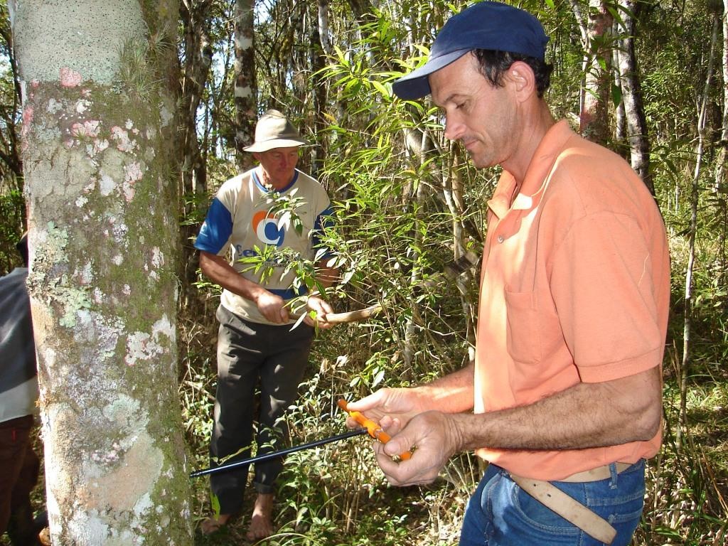6 - Fazendo cáculos de carbôno - Abril de 2007 (5)