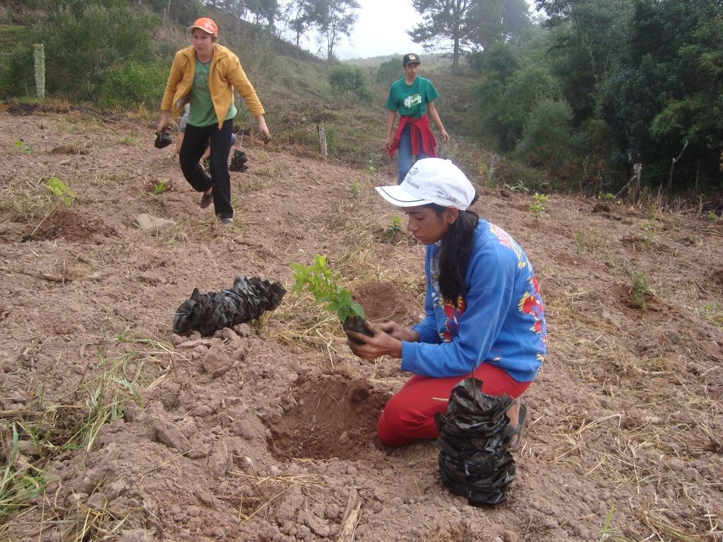 Plantio de mudas - Abril de 2009 (3)