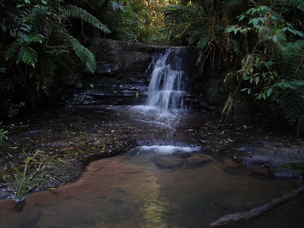 RPPN Serra do Lucindo 1