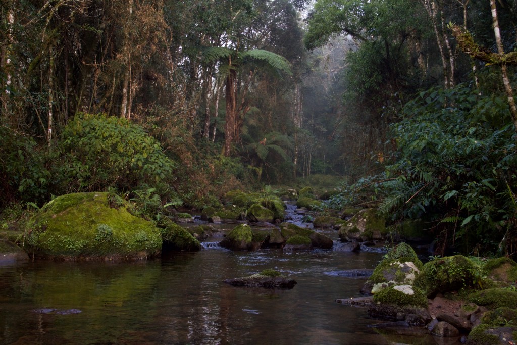 RPPN Serra do Lucindo 5