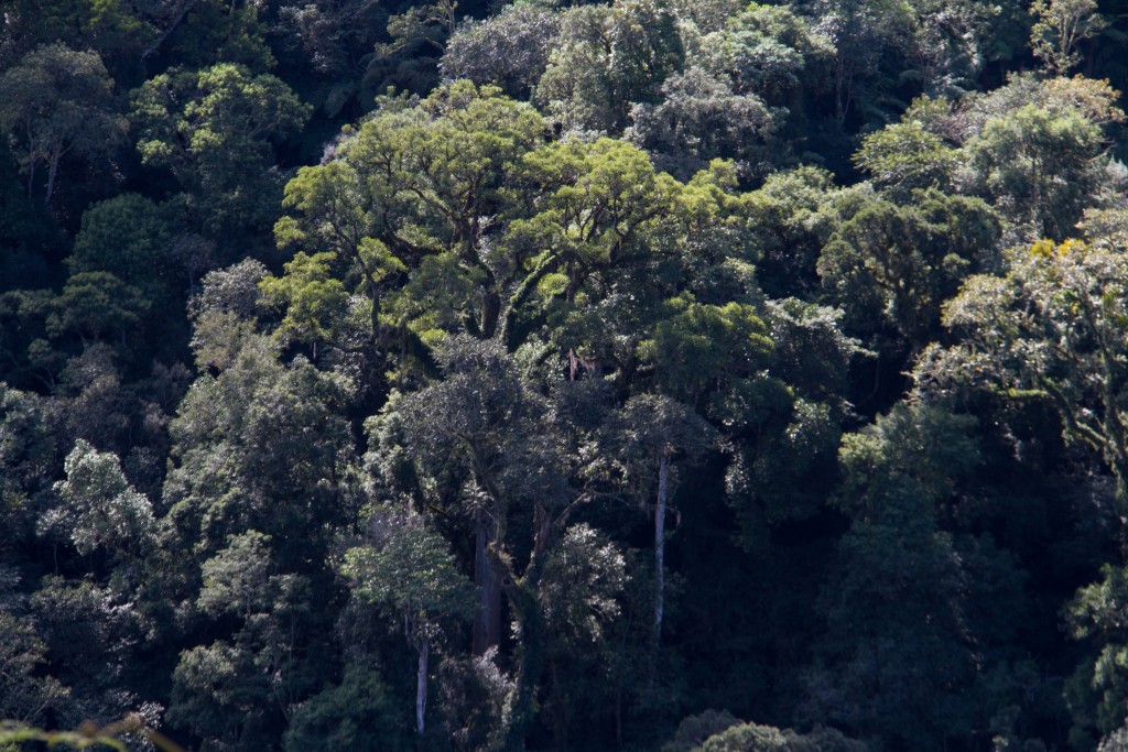 RPPN Serra do Lucindo 6