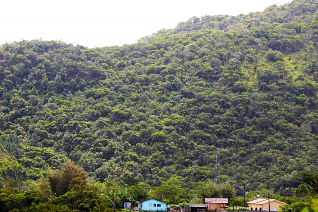 Vista da área da reserva