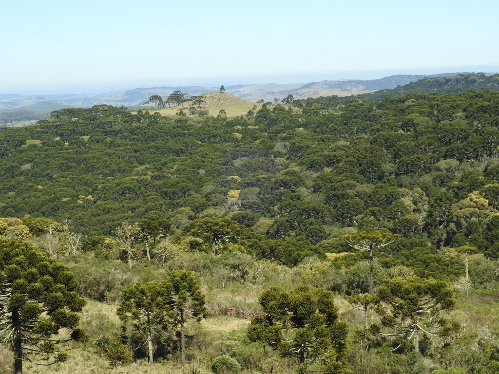 RPPN Papagaios de Altitude