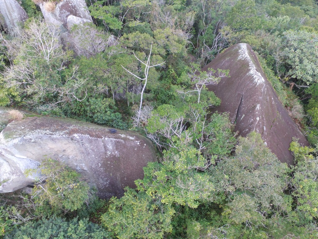 RPPNE COSTA ESMERALDA